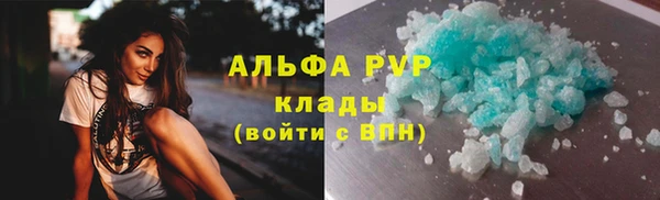 ECSTASY Ельня