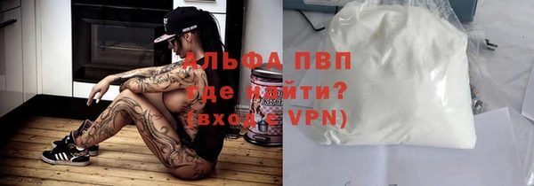 ECSTASY Ельня