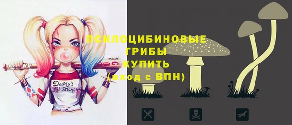 ECSTASY Ельня