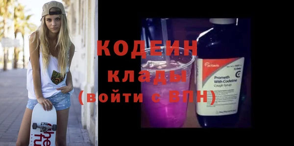 ECSTASY Ельня
