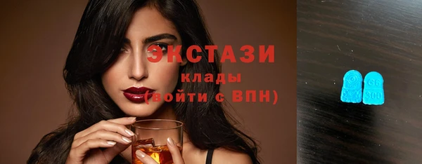 ECSTASY Ельня