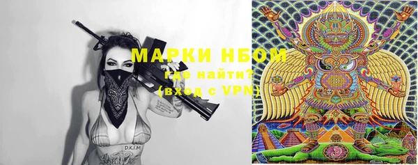 ECSTASY Ельня