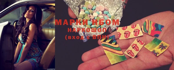 ECSTASY Ельня