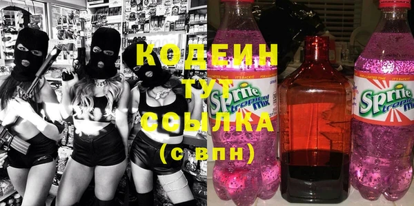 ECSTASY Ельня