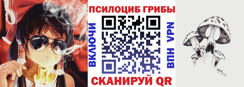 Псилоцибиновые грибы мицелий  Купить  Канаш 