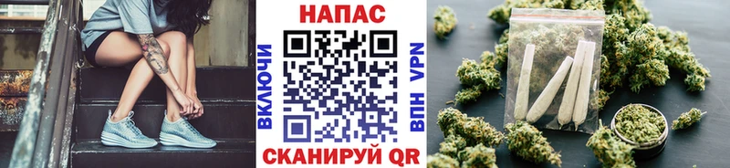 Купить закладки Канаш Шишки марихуана SATIVA & INDICA